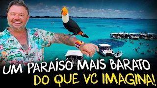 DESCOBRI O CARIBE BRASILEIRO: A JÓIA DE ALAGOAS, ANIMAIS EXÓTICOS E INTERAÇÕES INCRÍVEIS!