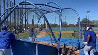 Bo Bichette and Justin Turner take batting practice for the Toronto Blue Jays!