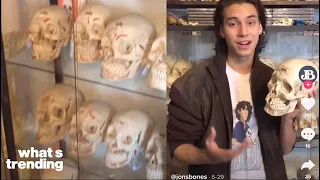 A TikTokers Bone Collection Goes Viral and Sparks Debates