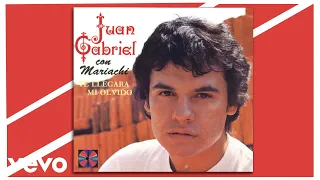 Juan Gabriel - Te Llegará Mi Olvido (Cover Audio)