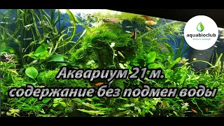 #Обзор #аквариума 70л. 21м. без подмен воды.