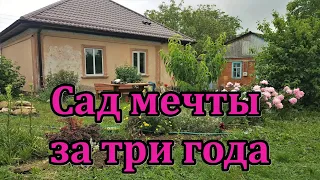 #326 Сад мечты за три года/Переезд из Латвии в Россию/Краснодарский край/село Молдаванское/Лефкадия.