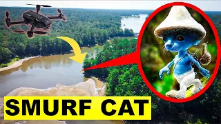 DRONE CATCHES SMURF CAT.EXE IN REAL LIFE AT BIG FOOT FOREST! | SMURF CAT CAUGHT IN REAL LIFE