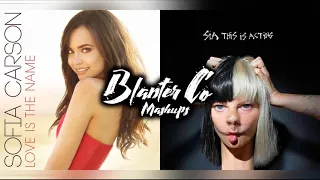 Sia & Sofia Carson - Cheap Love (Mashup By Blanter Co // RE-DO)