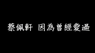 蔡佩軒 因為曾經愛過 歌詞