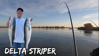 Delta Striper Nov. 3-4