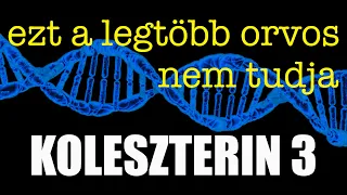 Ezt a legtöbb orvos nem tudja - a koleszterinről