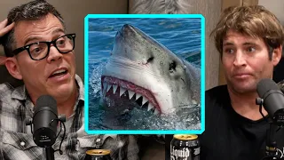 Steve-O Couldn’t Handle Poopies' Shark Bite | Wild Ride! Clips