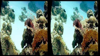 360 VR VIDEOS - 3D Ocean World: Underwater - VR Side By Side SBS Google Cardboard VR Box 2021