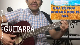 Una espiga dorada por el Sol tutorial guitarra