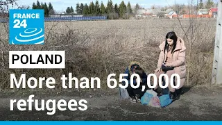 More than 650,000 refugees from Ukraine cross into Poland amid Russian invasion • FRANCE 24