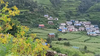 Organic Lifestyle Mountain Village | Nepal🇳🇵 | Best Primitive Life in Himalayan Village |