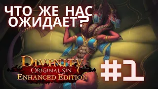 Divinity Original Sin Enhanced edition. Прохождение. Часть #1