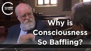 Daniel Dennett - Why is Consciousness so Baffling? (Part 1/2)