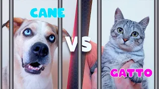 ESCAPE ROOM CHALLENGE CANE E  GATTO IN PRIGIONE CHI RIESCE A SCAPPARE PRIMA?!!