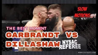 cody garbrandt vs TJ dillashaw || TKO  #slowmo Fights