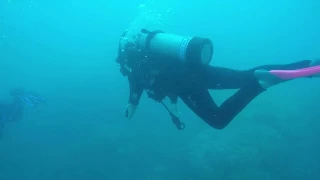 Isa Scuba Diving on the Great Barier Reef