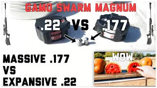 .177 Cal VS .22 Cal Gamo Swarm Magnum Challenge | BIGGEST .177 VS MOST EXPANSIVE .22 Comparison