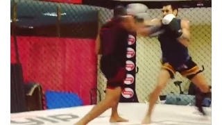 Jose Aldo fastest punches [Training for fight against Conor Mcgregor]