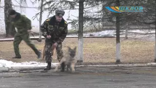 18 марта профессиональный праздник отметили военнослужащие внутренних войск Республики Беларусь