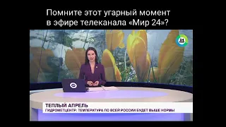 Собака украла микрофон в прямом эфире у корреспондента на телеканале «Мир 24». (01.04.2021 г.)