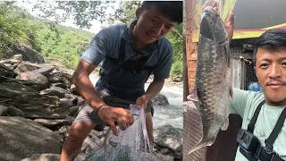 Net fishing Himalayan trout and enjoying ! असारको भेलमा जाल !