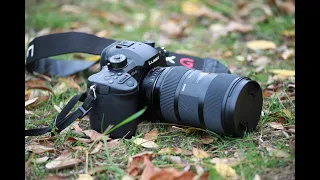 Опыт использования камеры Panasonic lumix gh5