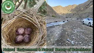 Natural Beauty of Besima Balochistan