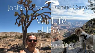 VANLIFE USA to Canada | the journey begins!