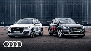 Audi SQ5 vs. Audi Q5 TFSI e | High-Performance-SUV gegen effizienten Plug-in-Hybriden