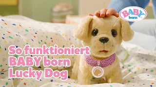 Lucky Dog von BABY born: Laufen, trinken, Pipi machen & mehr 😍🐶 | BABY born