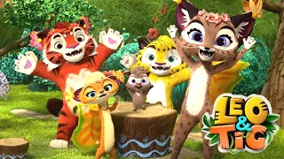 LEO and TIG 🦁 Best cartoons 💛 Episodes collection 🐯 Good Animated 💚 Moolt Kids Toons Happy Bear