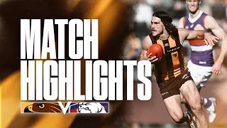 Hawthorn v Bulldogs | Match Highlights - Round 22, 2023