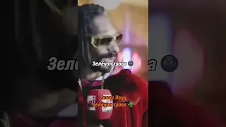 Ежедневные сны Snoop Dogg. 🌚