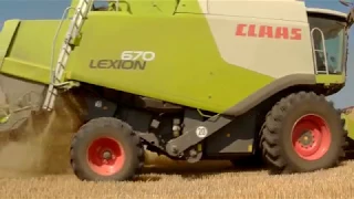 ФГ ОАЗИС   Жнива.  Agriculture . Combine harvester Claas lexion