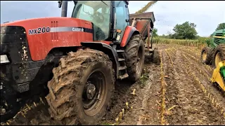 Corn fields are muddy. Chopping through the rain