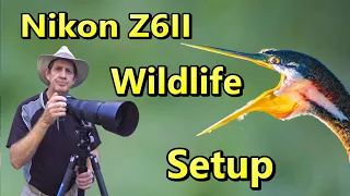 My Nikon Z6II Wildlife Setup