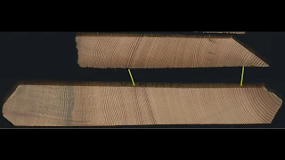 Dendrochronology - why are tree rings useful?