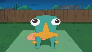 Perry the Platypus Being a Mood for 4 and a Half Minutes Straight Read Description egycartoon