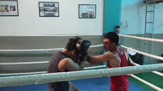 Pro vs Amateur BOXING MATCH!