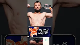 Хабиб в ШОКЕ! Его брат опять проиграл в UFC: Абубакар Нурмагомедов извинился за такое выступление