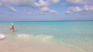 Акулы на кубинском пляже