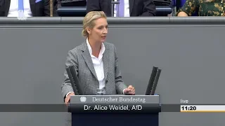 AKTUELL : REDE DR. ALICE WEIDEL ( AFD ) AM 12.SEPTEMBER IM DEUTSCHEN BUNDESTAG IN BERLIN.