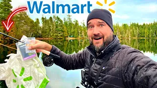 WALMART Fly Fishing CHALLENGE!  Start Fly Fishing for Trout w/o Spending $$$$