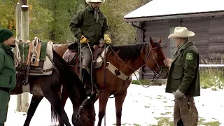 Pack strings of mules help with maintenance in National Forests