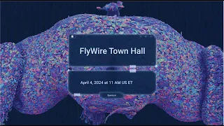 FlyWire Town Hall April 4 2024