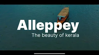 Alleppey | The beauty of kuttanad village | cinematic 4k video| Alleppey tamil vlog