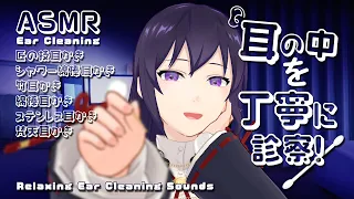 【ASMR】しっかり汚れが落ちる丁寧な耳かきでゆっくり安眠🌙 /Relaxing Ear Cleaning Sounds#544【睡眠導入/村瀬巴/長時間】