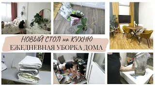 СТИЛЬНЫЙ СТОЛ на КУХНЮ до 5000 руб.🤩УБОРКА ДОМА после ТРОИХ ДЕТЕЙ🐝ПЕРЕВАЛКА ОРХИДЕЙ🔥УБИРАЙ СО МНОЙ