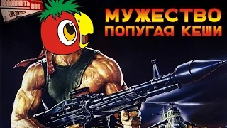 МУЖЕСТВО ПОПУГАЯ КЕШИ [ВСПОМНИТЬ ВСЁ]